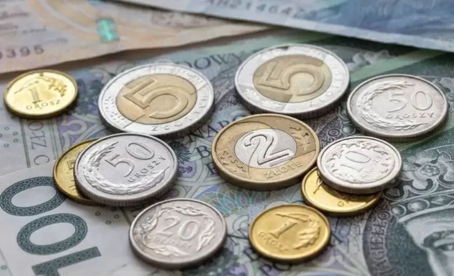 Polski złoty zaliczył bardzo dobry dzień. Kurs euro w dół. Co z inflacją w Polsce?