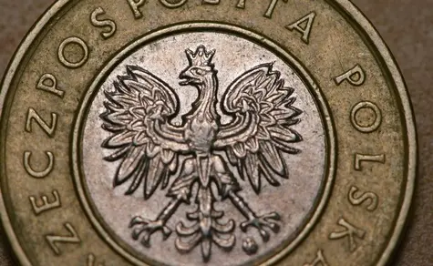 Polski złoty zyskuje. Ile zapłacimy za euro, dolara, franka i funta na rynku Forex? Kursy walut 7 września | FXMAG INWESTOR