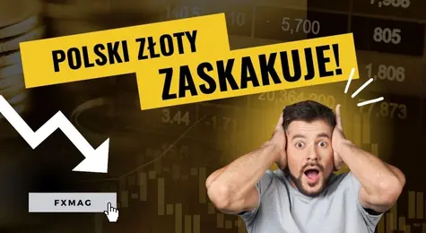 Potężne spadki kursu funta (GBP), dolara (USD) i euro (EUR). Polski złoty (PLN) zaskakuje! Kursy walut na rynku Forex dają się we znaki  | FXMAG INWESTOR