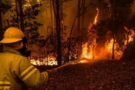 Pożary w Australii uderzają w PKB, zaufanie i rząd | FXMAG