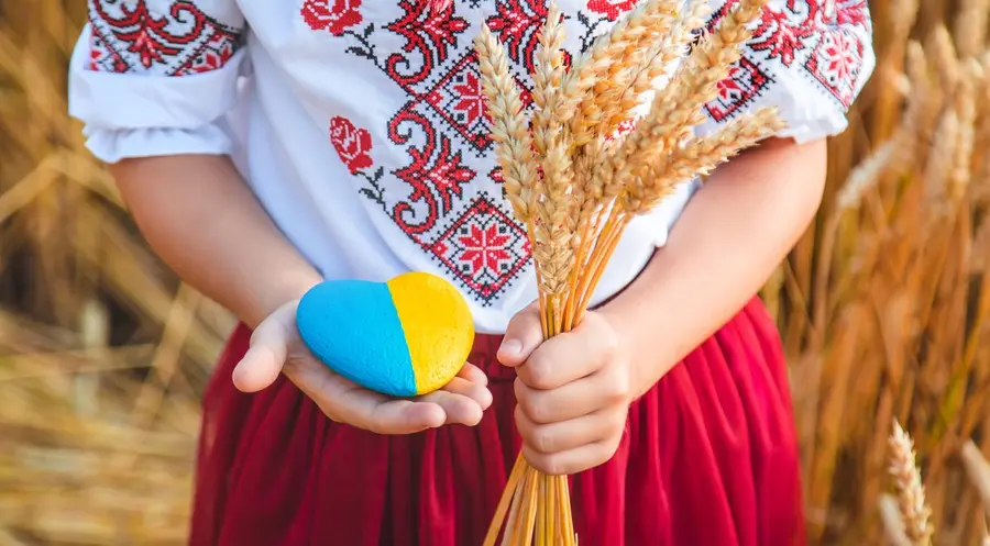 Produkty rolne: Ukraina, czyli zagrożony spichlerz Europy! Ceny pszenicy i kukurydzy fruną na szczyt   | FXMAG INWESTOR