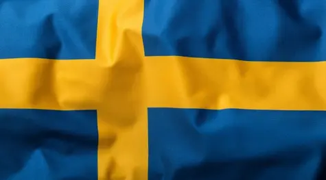 Prognozy kursu korony szwedzkiej (SEK). Złoty (PLN) nie zatrzyma umocnienia - ekspert TYLKO W FXMAG | FXMAG INWESTOR