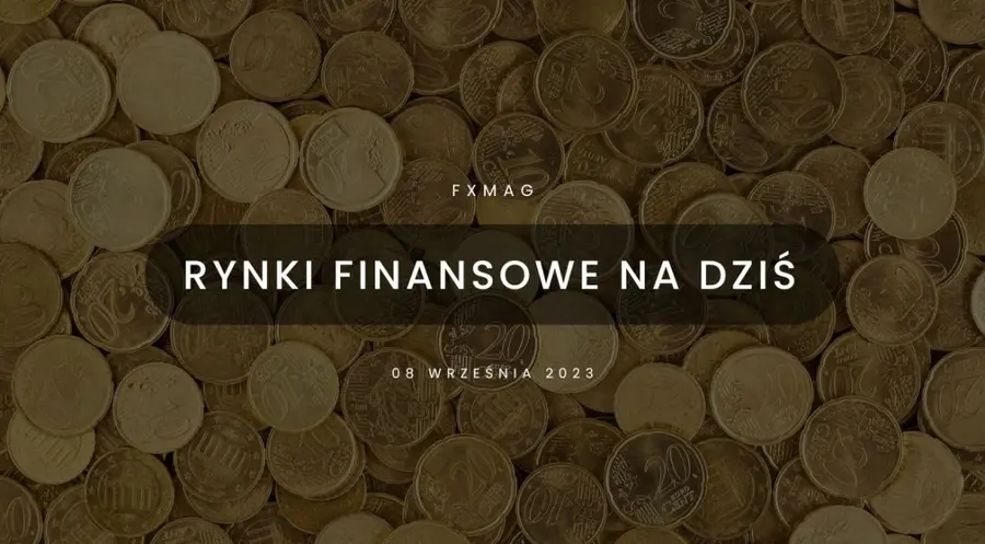 Przeceny ciąg dalszy - polski złoty (PLN) nie wytrzymuje presji! Coraz silniejszy dolar (USD) nie pomaga [rynki finansowe] | FXMAG INWESTOR