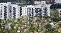 Flipy na ogródkach działkowych. Czy taka inwestycja ma sens?
