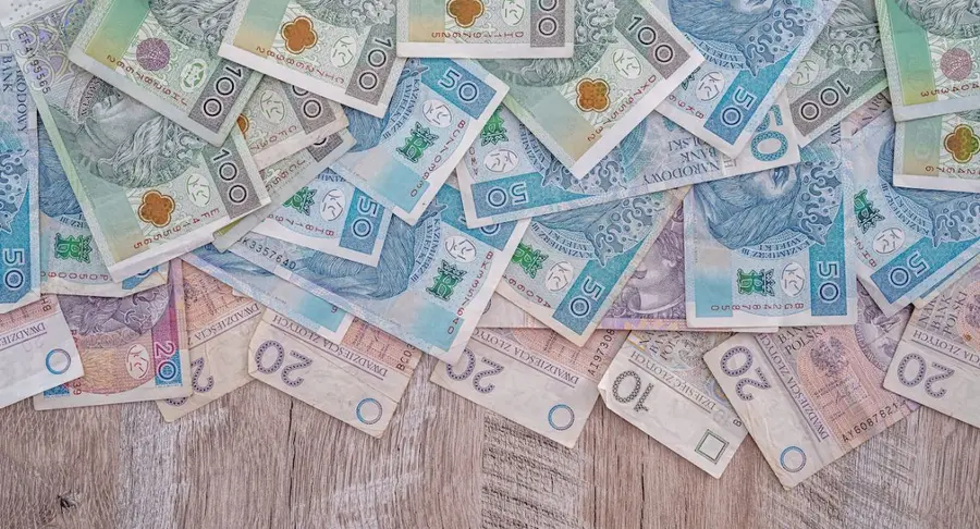 RPP zaskoczyła: natychmiastowa reakcja polskiego złotego! Władze chcą umocnienia narodowej waluty (PLN) | FXMAG INWESTOR