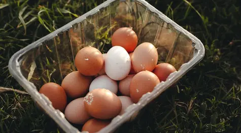 Rynek jaj w Polsce - ocena sytuacji z uwzględnieniem wpływu wojny w Ukrainie  | FXMAG INWESTOR