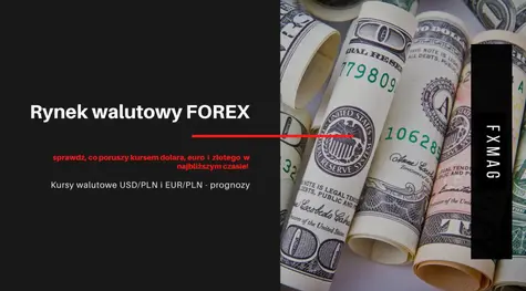 Rynek walutowy FOREX: sprawdź, co poruszy kursem dolara (USD), euro (EUR) i złotego (PLN) w najbliższym czasie! Kursy walutowe USD/PLN i EUR/PLN - prognozy | FXMAG INWESTOR