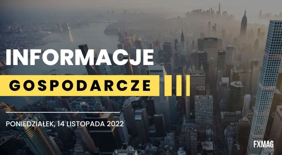 Ograniczenie tarczy antyinflacyjnej oraz spadki CPI od II kwartału przyszłego rok - najważniejsze informacje gospodarcze | FXMAG INWESTOR