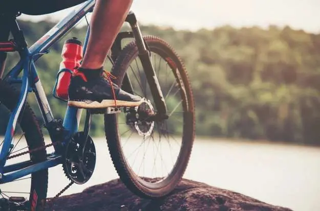 Walizka do transportu roweru — kiedy warto w nią zainwestować? | FXMAG INWESTOR
