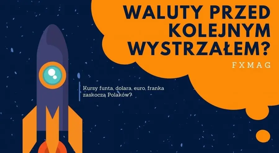 Waluty przed kolejnym wystrzałem? Kursy funta, dolara, euro, franka zaskoczą Polaków? Złotówka (do końca roku) może pójść na dno, ostrzegają analitycy! | FXMAG INWESTOR