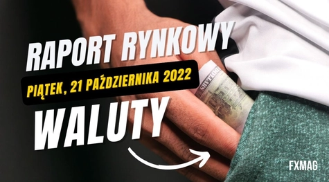 WALUTY: zmienność na rynku FOREX.Cena Euro (EUR) ogłasza kapitulację?  | FXMAG INWESTOR