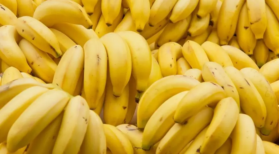 Warszawska giełda coraz mniej bananowa? Pierwsze półrocze pokazuje, że GPW znów zaczęła być atrakcyjna dla inwestorów | FXMAG INWESTOR