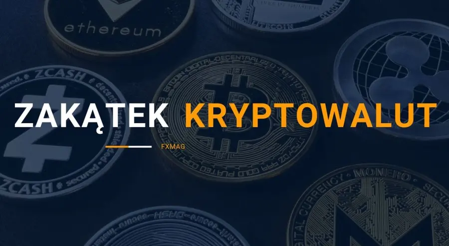 Jeden z największych na świecie banków pozytywnie na temat bitcoina. Amazon uruchamia usługi związane z aktywami cyfrowymi NFT. Zakątek Kryptowalut | FXMAG INWESTOR