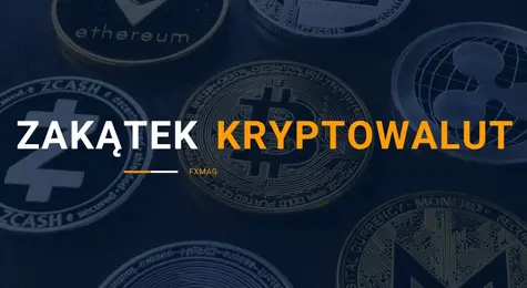 Kurs Bitcoina przebił granicę 20 000 dolarów USD, a trudności wydobywcze BTC ustanowiły nowy rekord wszech czasów | FXMAG INWESTOR