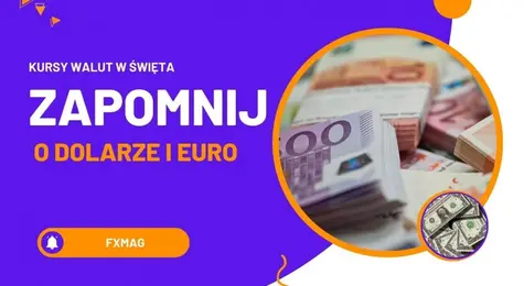 Zapomnij o dolarze i euro. To TE waluty mogą ostro zaskoczyć inwestorów w nowym roku! Sprawdź, czy masz je w portfelu [kursy walut w święta] | FXMAG INWESTOR