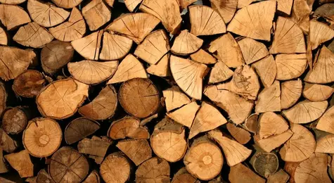 Znaczenie branż związanych z przetwórstwem drewna w Polsce | FXMAG INWESTOR