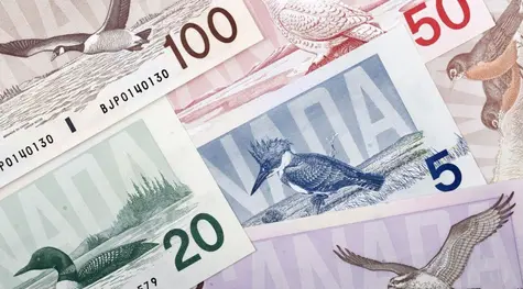  Dolar australijski, kanadyjski i nowozelandzki - bieżące notowania walut