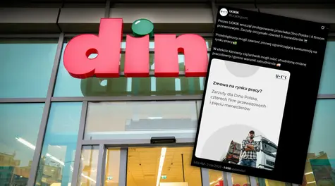 Akcje Dino na 28-procentowej przecenie. UOKiK uderza w giganta. Warunki pracy w sieci pod lupą | Giełda
