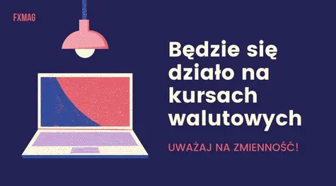 Będzie się działo na kursach walutowych - uważaj na zmienność! Sprawdź, co zachwieje ceną dolara (USD), euro (EUR) oraz eurodolara (EURUSD) - prognozy makro i dla rynku walutowego FOREX