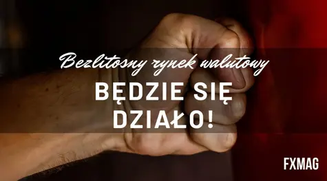 Bezlitosny rynek walutowy: będzie się działo! To poruszy kursem euro do złotego (EUR/PLN), dolara do złotego (USD/PLN) i euro do dolara (EUR/USD) w najbliższym czasie - komentarz i prognoza FX