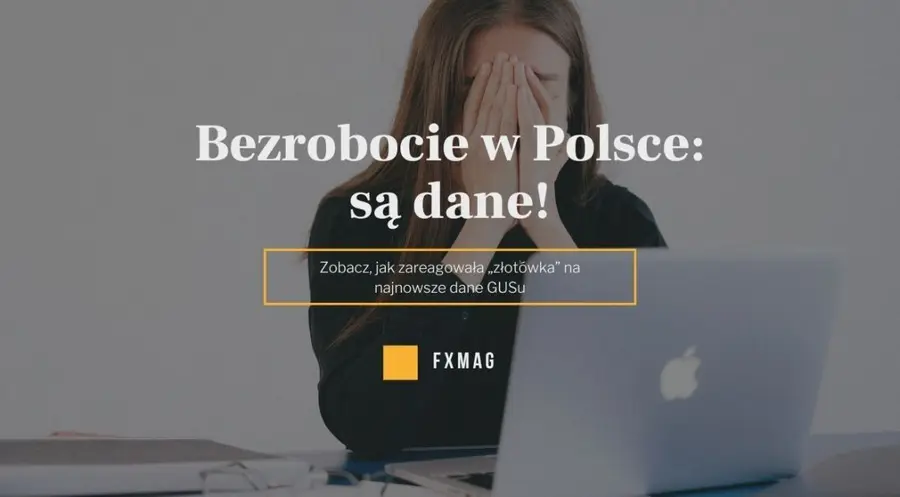 Bezrobocie w Polsce: rekordowo niskie, najniższe od 32 lat! Zobacz, jak zareagowała „złotówka” na najnowsze dane GUSu | FXMAG INWESTOR