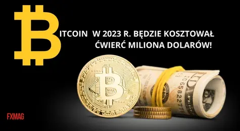 Bitcoin w 2023 r. będzie kosztował ćwierć miliona dolarów, kurs BTC „będzie już tylko rósł”! Sensacyjne prognozy ekspertów kryptowalutowych  | FXMAG INWESTOR