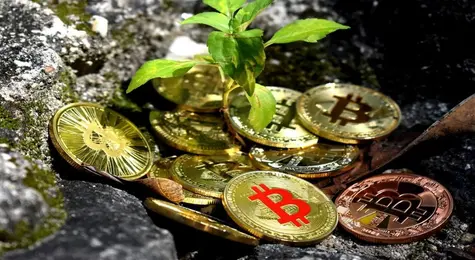 Bitcoin zamyka tydzień spadkiem – czy możemy liczyć na korektę? Prognoza dla kryptowalut na najbliższy okres | FXMAG INWESTOR