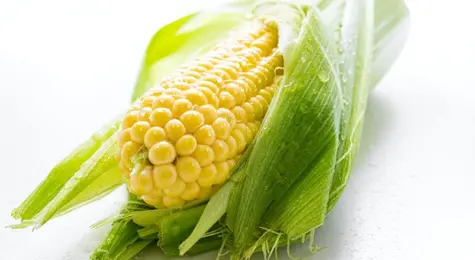 Ceny zbóż. Prognozy dla cen pszenicy i kukurydzy na 2024 rok  | FXMAG INWESTOR