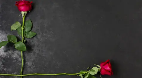 Czy i jak rynek walutowy zareagował na kryptokrach? Flirt z bitcoinem odbił się czkawką dla spółek technologicznych | FXMAG INWESTOR