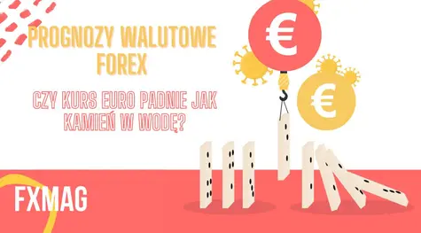Czy kurs euro (EUR) padnie jak kamień w wodę? To będzie przełomowy moment dla wspólnej waluty! Prognozy walutowe FOREX: co z dolarem (USD, AUD, NZD, CAD), frankiem (CHF), funtem (GBP), jenem (JPY) w tym roku? | FXMAG INWESTOR
