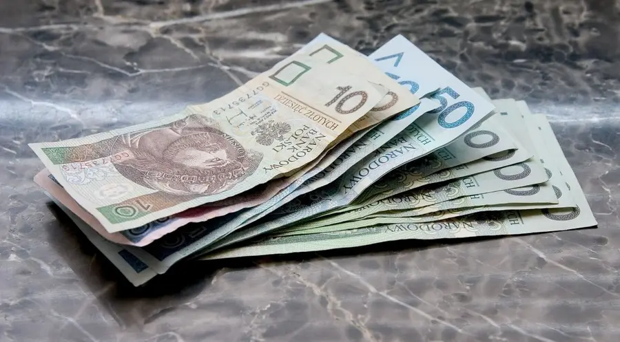 Czy polski złoty szaleje po wyborach prezydenckich? Sprawdzamy kurs dolara, euro, franka i funta? | FXMAG INWESTOR