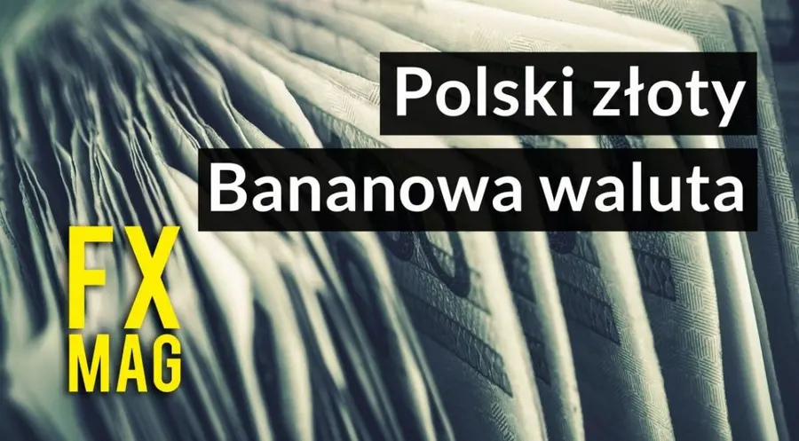 Dlaczego gdy jest źle polski złoty dostaje po gębie? Historia, fakty oraz ciekawostki na temat naszego PLN’a | FXMAG INWESTOR
