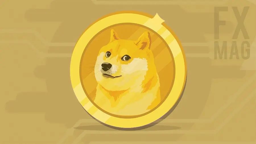 Dogecoin (DOGE) - co musisz o nim wiedzieć? Opis kryptowaluty, historia, notowania, opinie | FXMAG INWESTOR