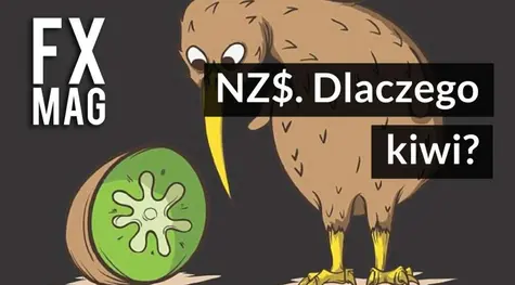Dolar nowozelandzki. Dlaczego NZ$ to inaczej kiwi? Historia, fakty, ciekawostki, banknoty i monety NZD | FXMAG INWESTOR