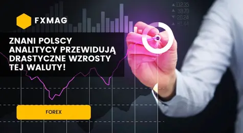 Eksplozja! Znani polscy analitycy przewidują drastyczne wzrosty tej waluty! Prognozy dla rynku Forex - będzie się działo na walutach | FXMAG INWESTOR
