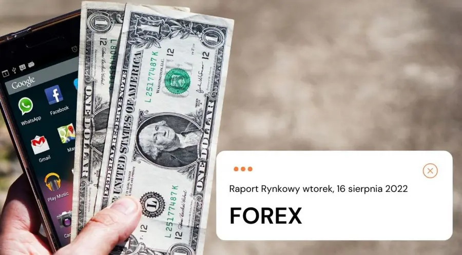 FOREX: Bilans handlowy drugi raz z rzędu z pozytywną niespodzianką. Notowania złotego (PLN) w górę  | FXMAG INWESTOR