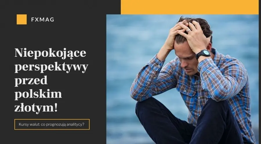 Gigantyczne wzrosty kursu euro (EUR)? Niepokojące perspektywy przed polskim złotym (PLN)! Kursy walut: co prognozują analitycy? - nie przegap | FXMAG INWESTOR