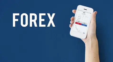 Komentarz walutowy - jastrzębie zdominowały rynek. Aktualny kurs dolara (USD/PLN), euro (EUR/PLN), franka (CHF/PLN), funta (GBP/PLN) na FX