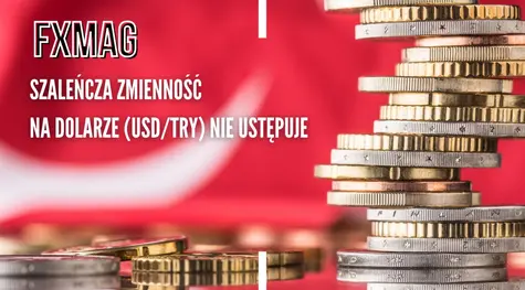 Komentarz walutowy: kurs euro traci najmocniej - para EURUSD wymazała prawie całość wzrostów! Szaleńcza zmienność na dolarze (USD/TRY) nie ustępuje | FXMAG INWESTOR