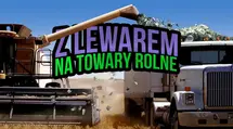 Kontrakty CFD na surowce rolne. Specyfikacja, ryzyko handlu, rolowanie - pszenica, kukurydza, soja, bawełna, kawa, kakao | FXMAG INWESTOR