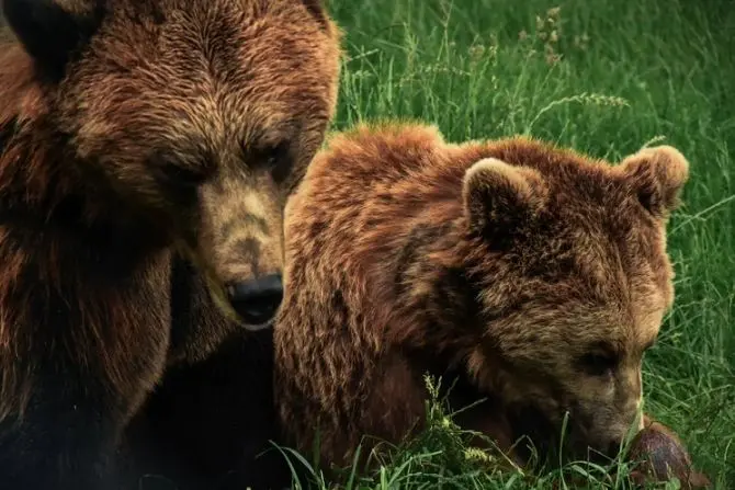 Kontrakty na WIG20: czy Niedźwiedzie pokażą moc?  | FXMAG