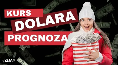 Kurs dolara (prognoza): szaleństwo kursów walut! USD padnie jak kamień? Co dalej? Ruchy bedą „dość impulsywne i emocjonalne”, ostrzega ekspert | FXMAG INWESTOR