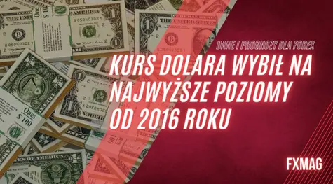 Kurs dolara wybił na najwyższe poziomy od 2016 roku, dotkliwa zmienność na cenie euro! [dolar USDPLN, eurodolar EURUSD, forint EURHUF, złoty EURPLN, korona EURCZK, rubel EURRUB - dane i prognozy