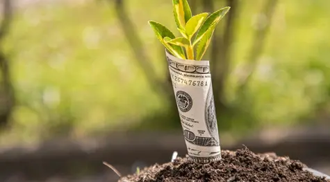 Kurs euro (EUR) i dolara amerykańskiego (USD) zagrożone silnymi wahaniami z powodu publikacji makro i decyzji polityczno-ekonomicznych | FXMAG INWESTOR