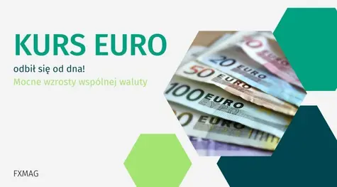 Kurs euro (EUR) odbił się od dna - mocne wzrosty wspólnej waluty! Dolar (USD) traci siłę wraz z ofensywą wojsk ukraińskich. Co dalej z kursami walut | FXMAG INWESTOR
