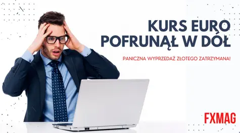 Kurs euro (EUR) pofrunął w dół - paniczna wyprzedaż złotego (PLN) zatrzymana! Frank (CHF) i dolar (USD) w odwrocie! Prognoza walutowa i zmiany notowań walut