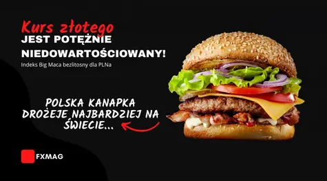 Kurs złotego jest potężnie niedowartościowany! Indeks Big Maca bezlitosny dla PLNa: polska kanapka drożeje najbardziej na świecie… Siła dolara (USD), franka (CHF) i koron (NOK, SEK)