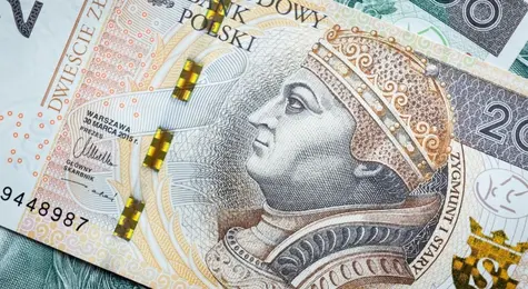 Kurs złotego (PLN) niespodziewanie traci na wartości. Polska waluta przyjmuje właśnie bardzo silne ciosy | FXMAG INWESTOR