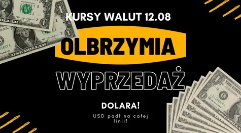 Kursy walut 12.08.: olbrzymia wyprzedaż dolara, USD zaliczył kraksę! Zerknij, po ile jest frank (CHF), euro (EUR), korona (NOK/SEK), jen (JPY), dolar (CAD/AUD), rubel (RUB), forint (HUF), lira (TRY) | FXMAG INWESTOR