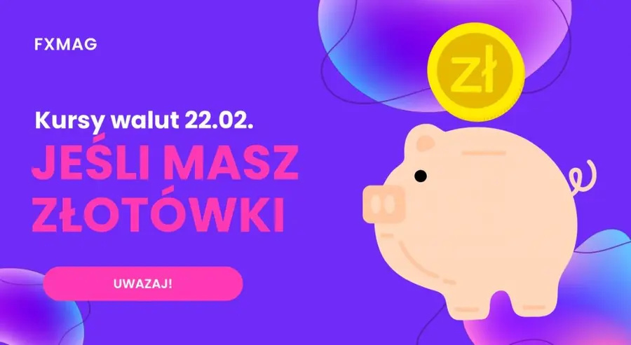 Kursy walut 22.02.: jeśli masz złotówki to uważaj! Najgorsze przed nami. Sprawdź, po ile jest dzisiaj frank (CHF), korona (CZK), dolar (USD), funt (GBP), euro (EUR), forint (HUF) | FXMAG INWESTOR